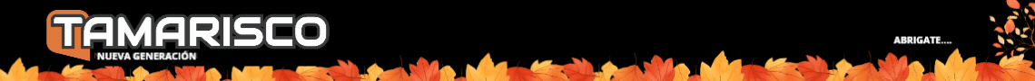Banner publicitario